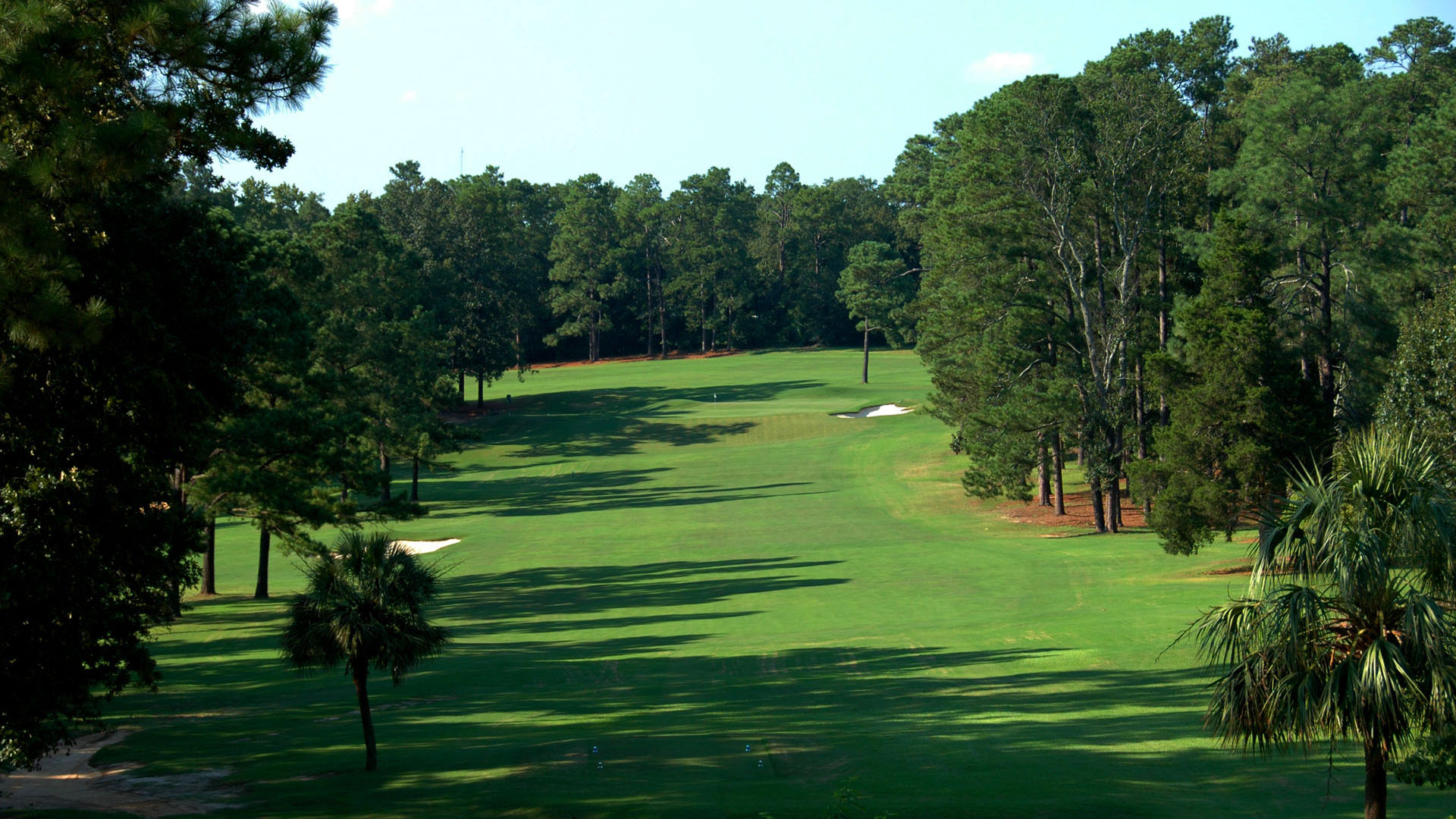 Palmetto Amateur Golf 31